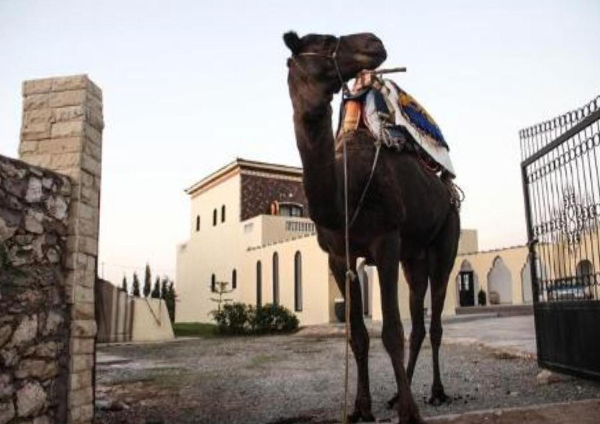 Hotel Sidi Kaouki Ayt Karoum Exterior foto